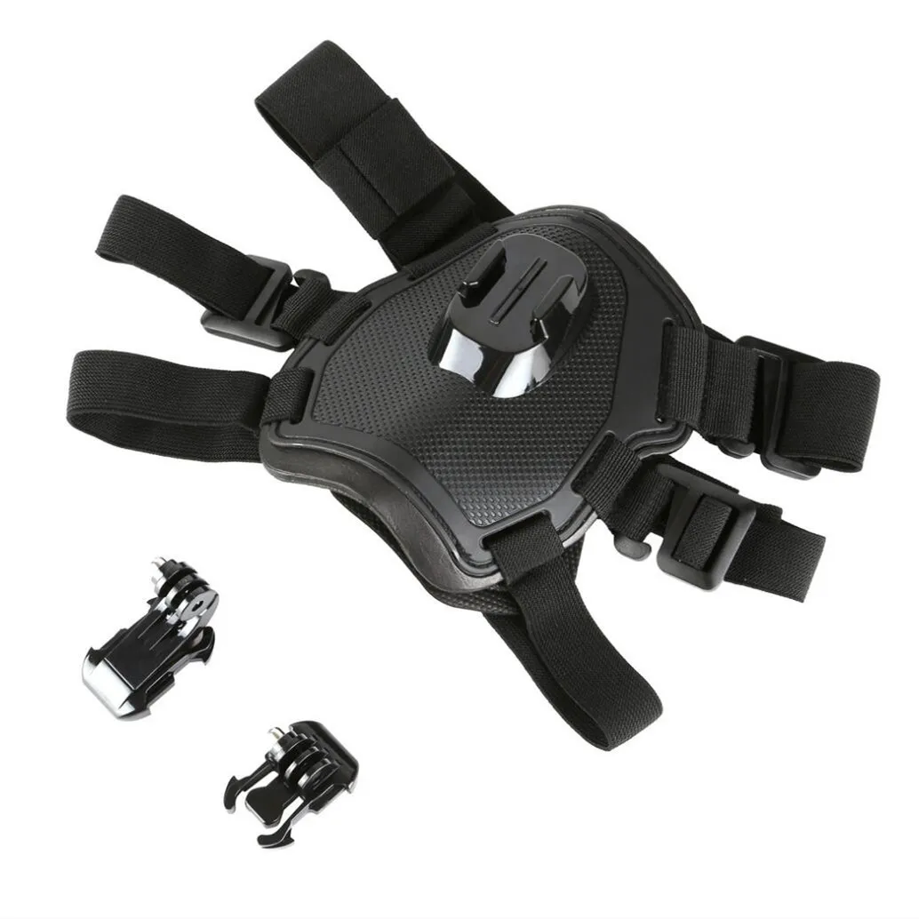 Fascia per cani regolabile per - Runcam Camera recensione e prezzo